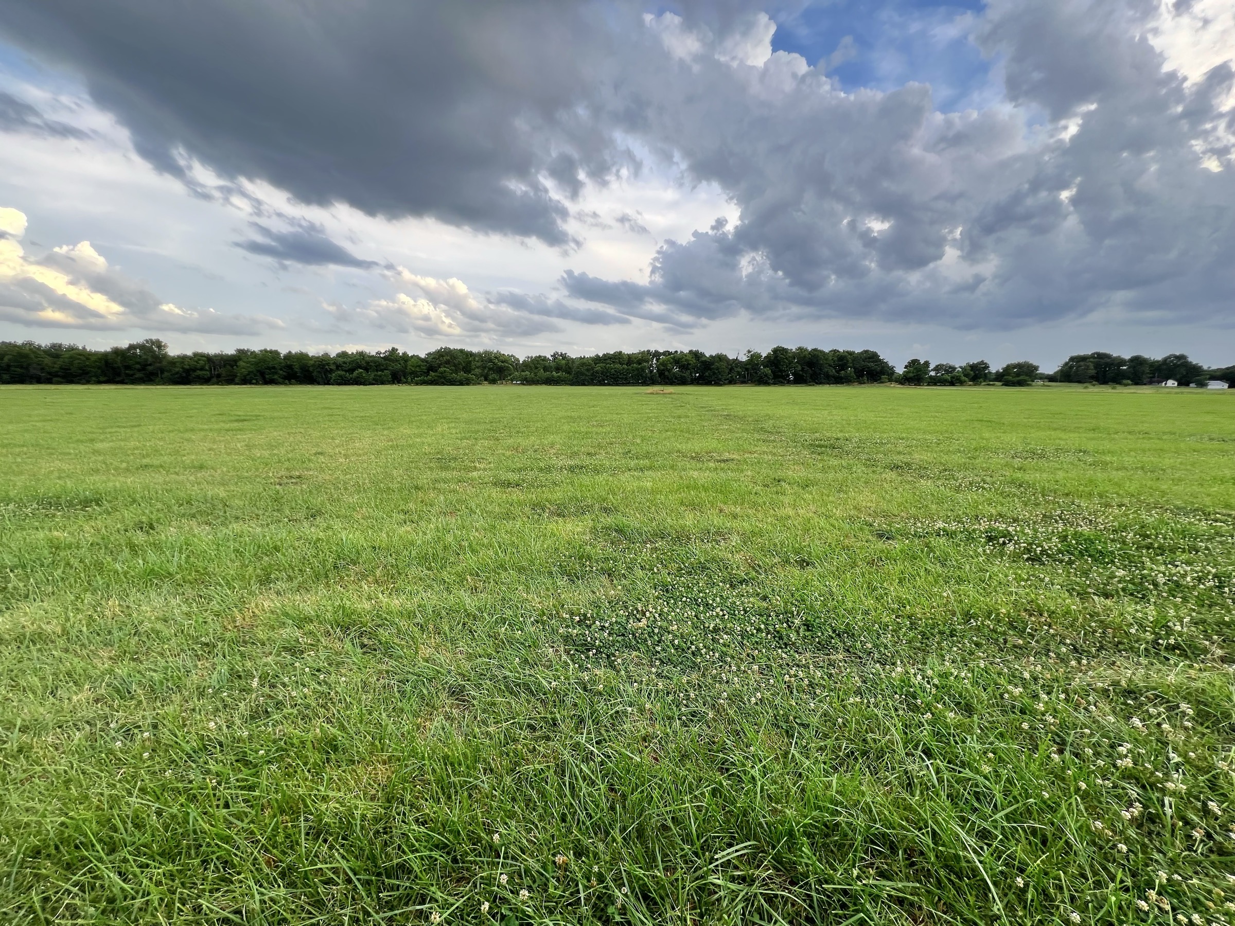 Tract 5 of 7: 34± acres - 