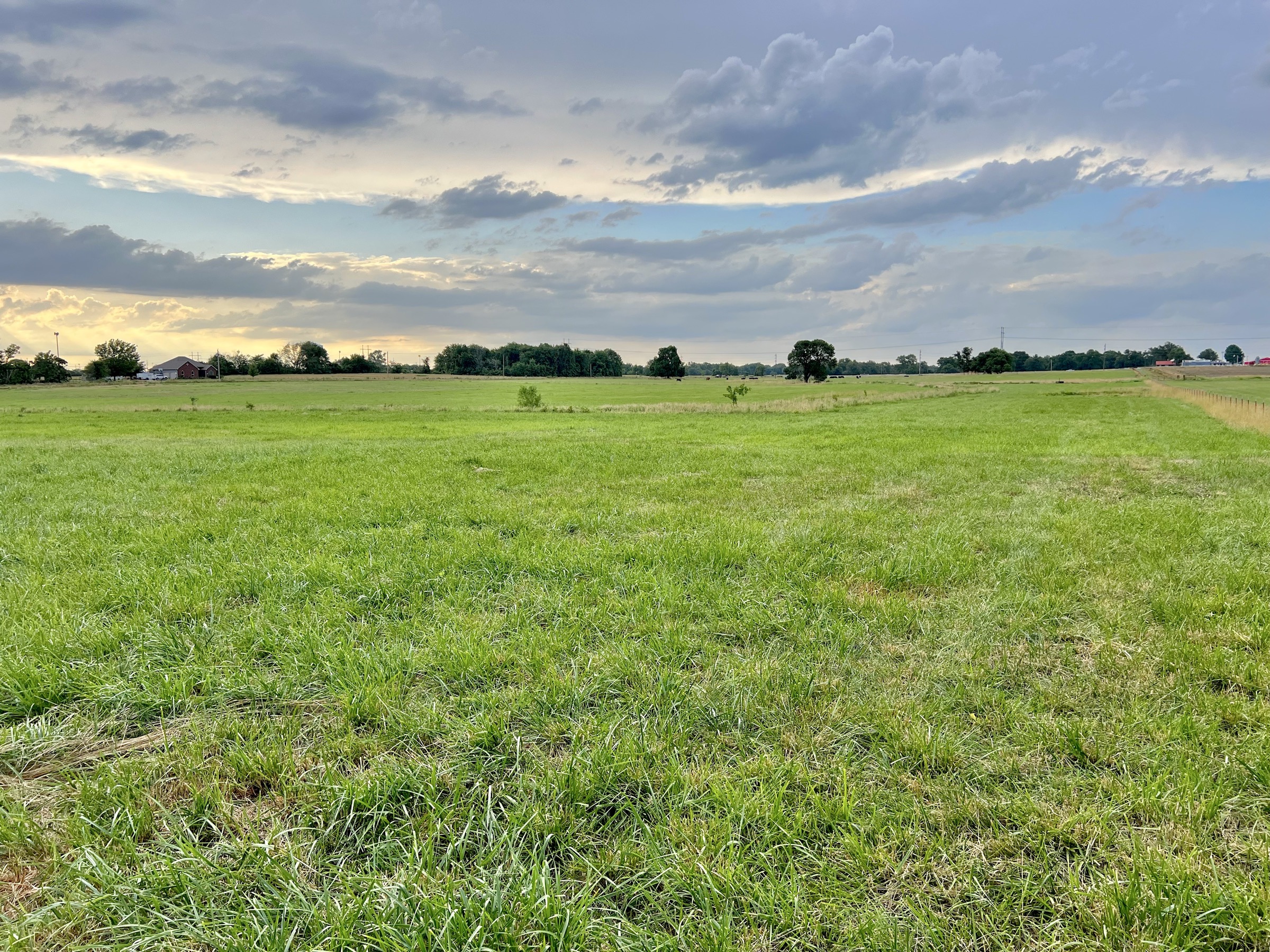 Tract 5 of 7: 34± acres - 