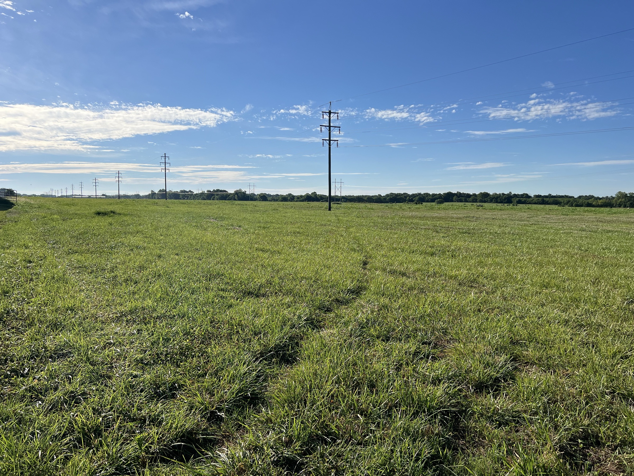 Tract 6 of 7: 20± acres - 