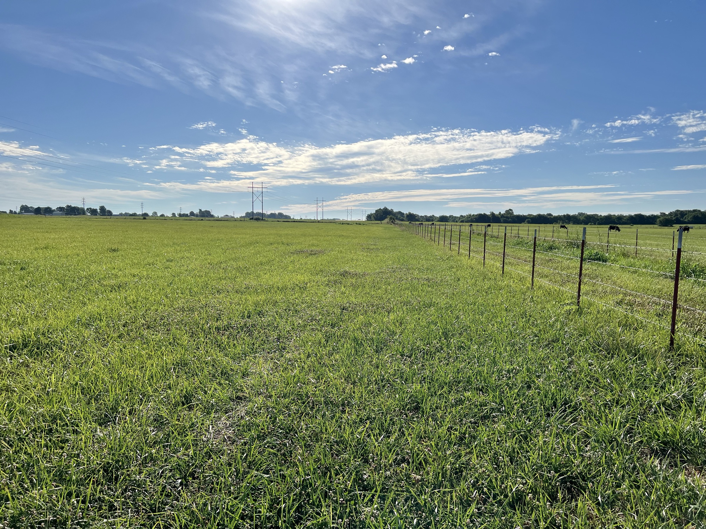 Tract 6 of 7: 20± acres - 