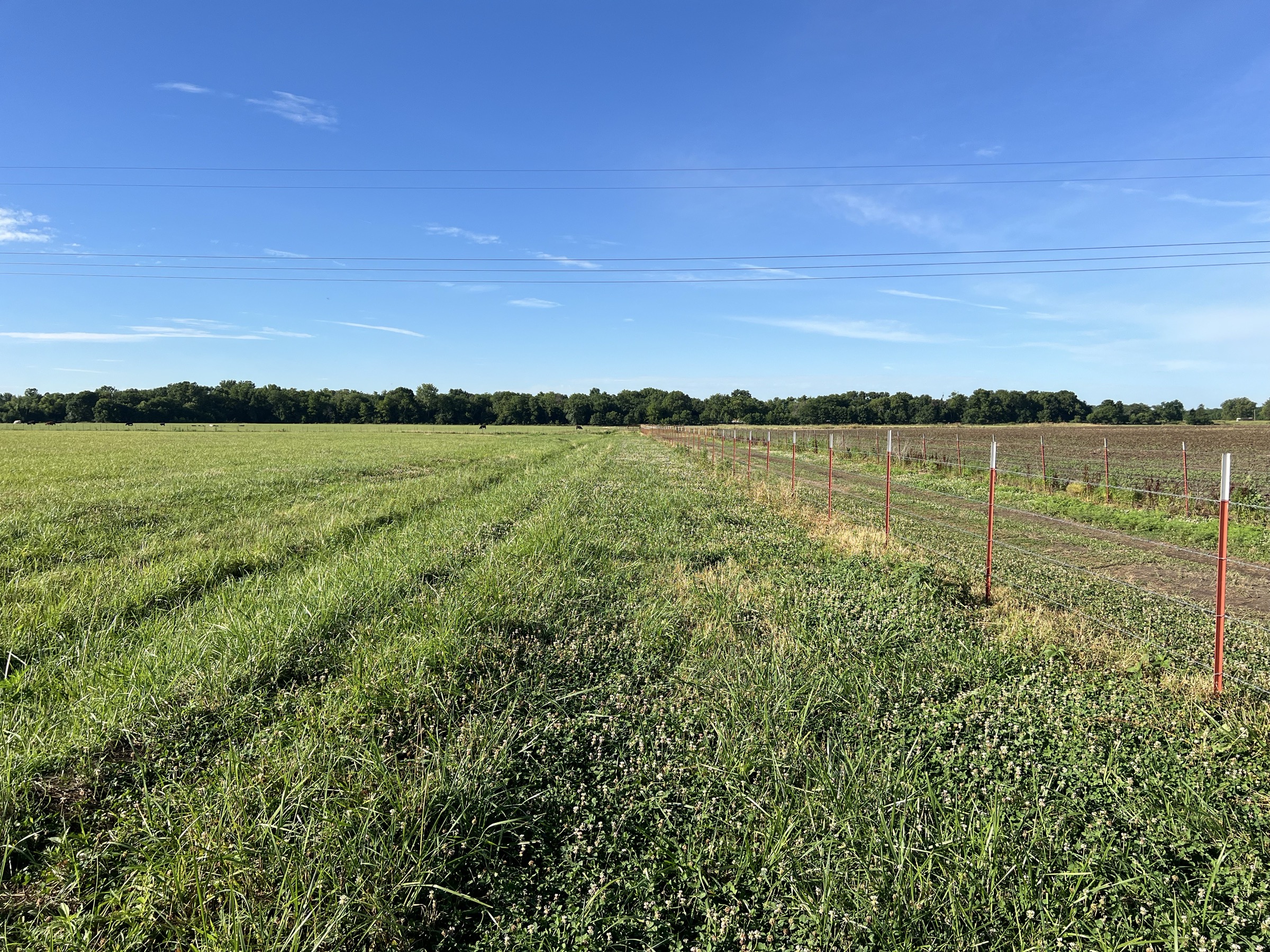 Tract 6 of 7: 20± acres - 