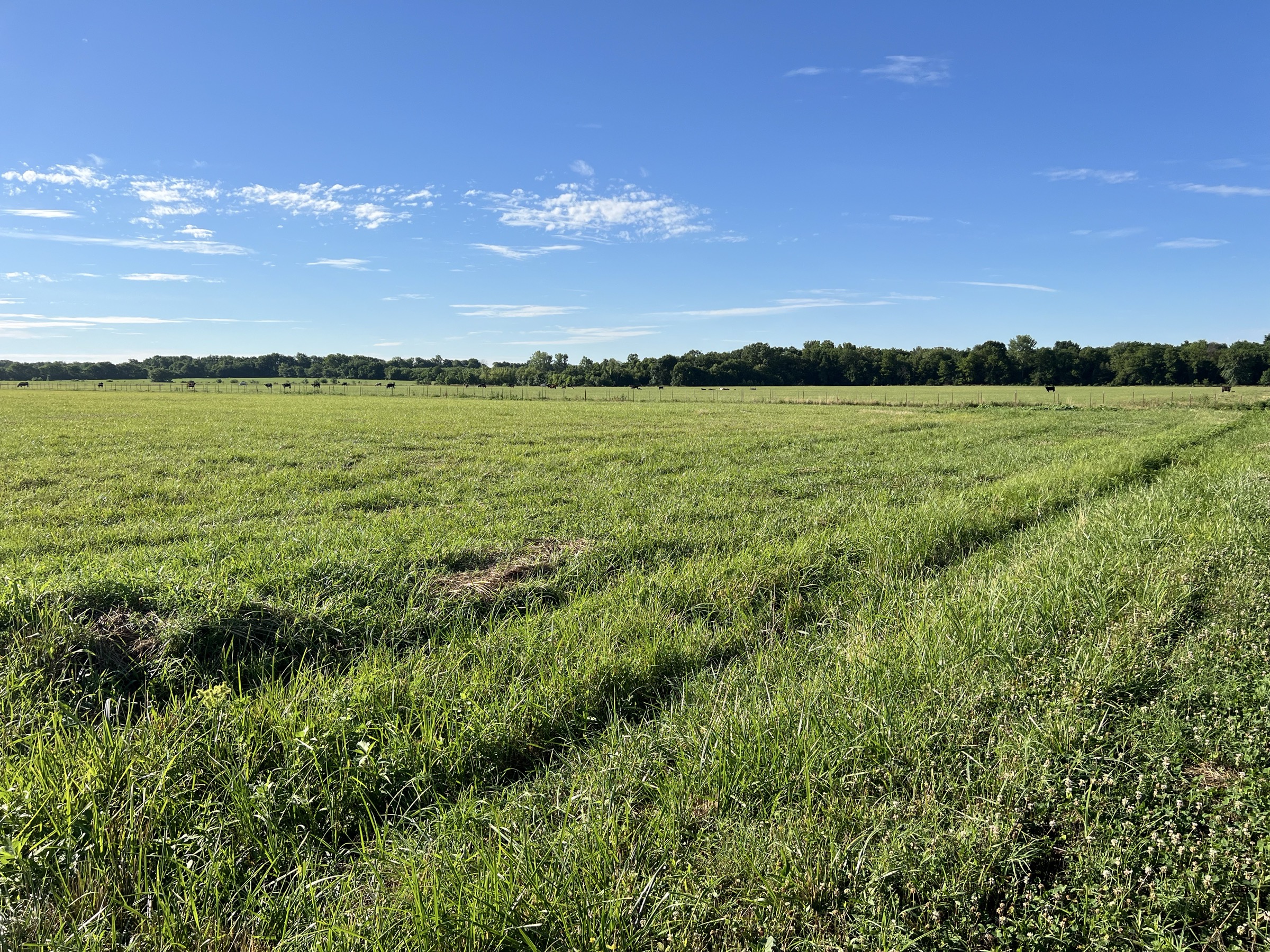 Tract 6 of 7: 20± acres - 