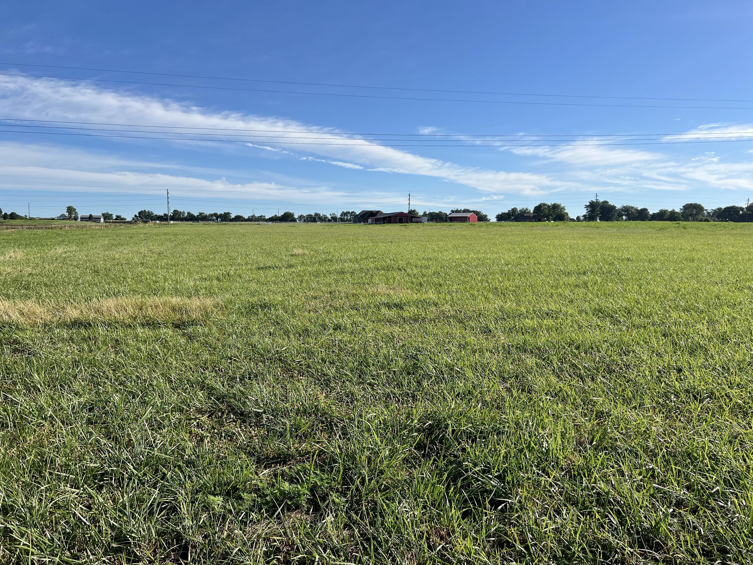 Tract 6 of 7: 20± acres - 