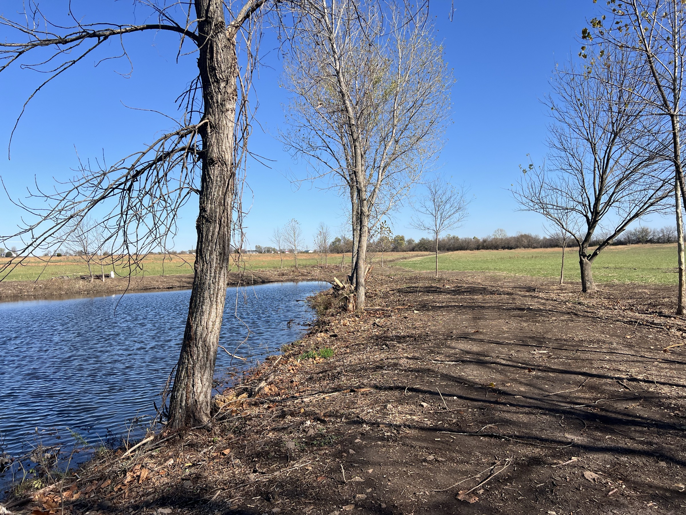 Tract 7 of 7: 70± acres - 