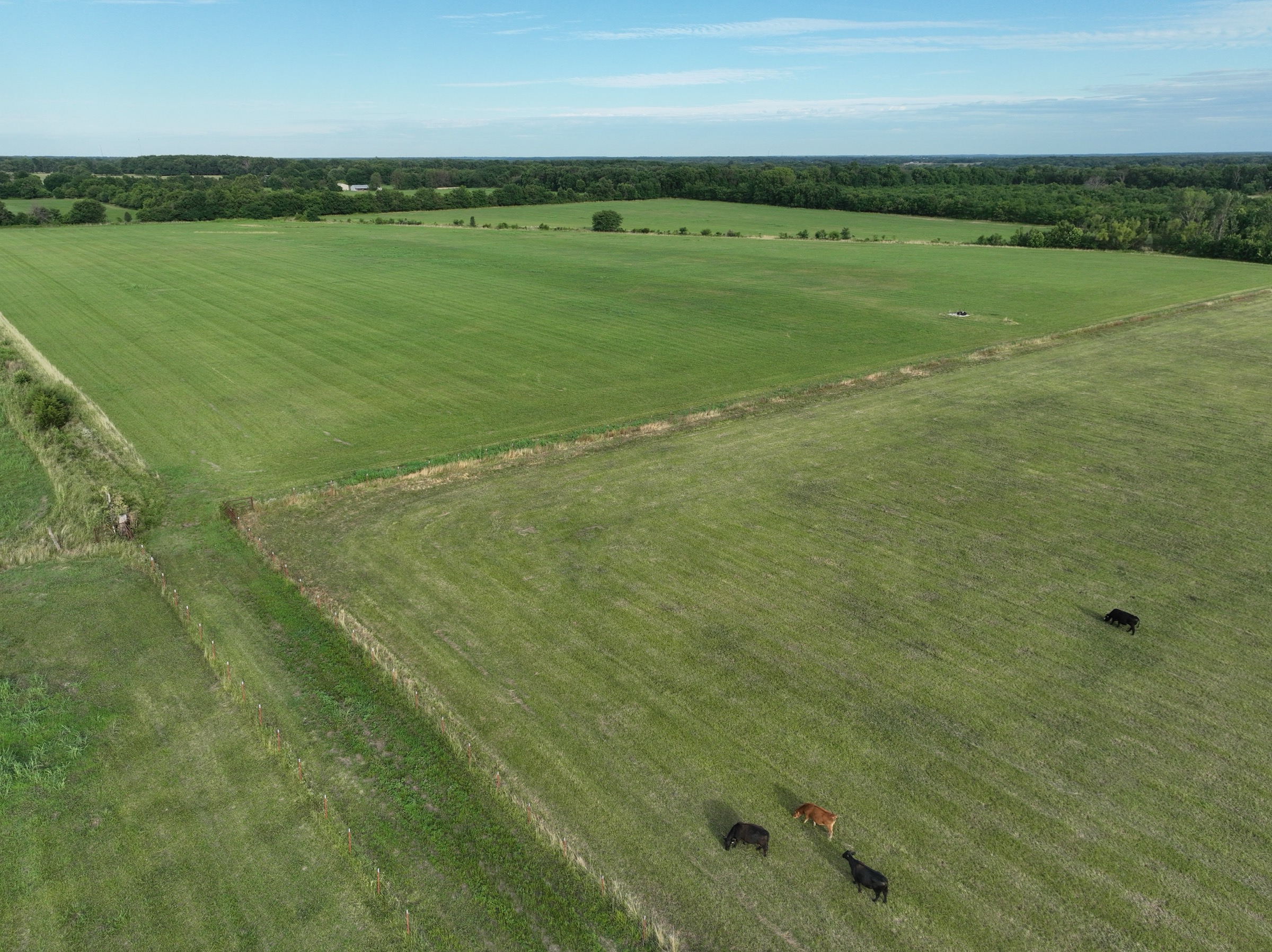 Tract 7 of 7: 70± acres - 