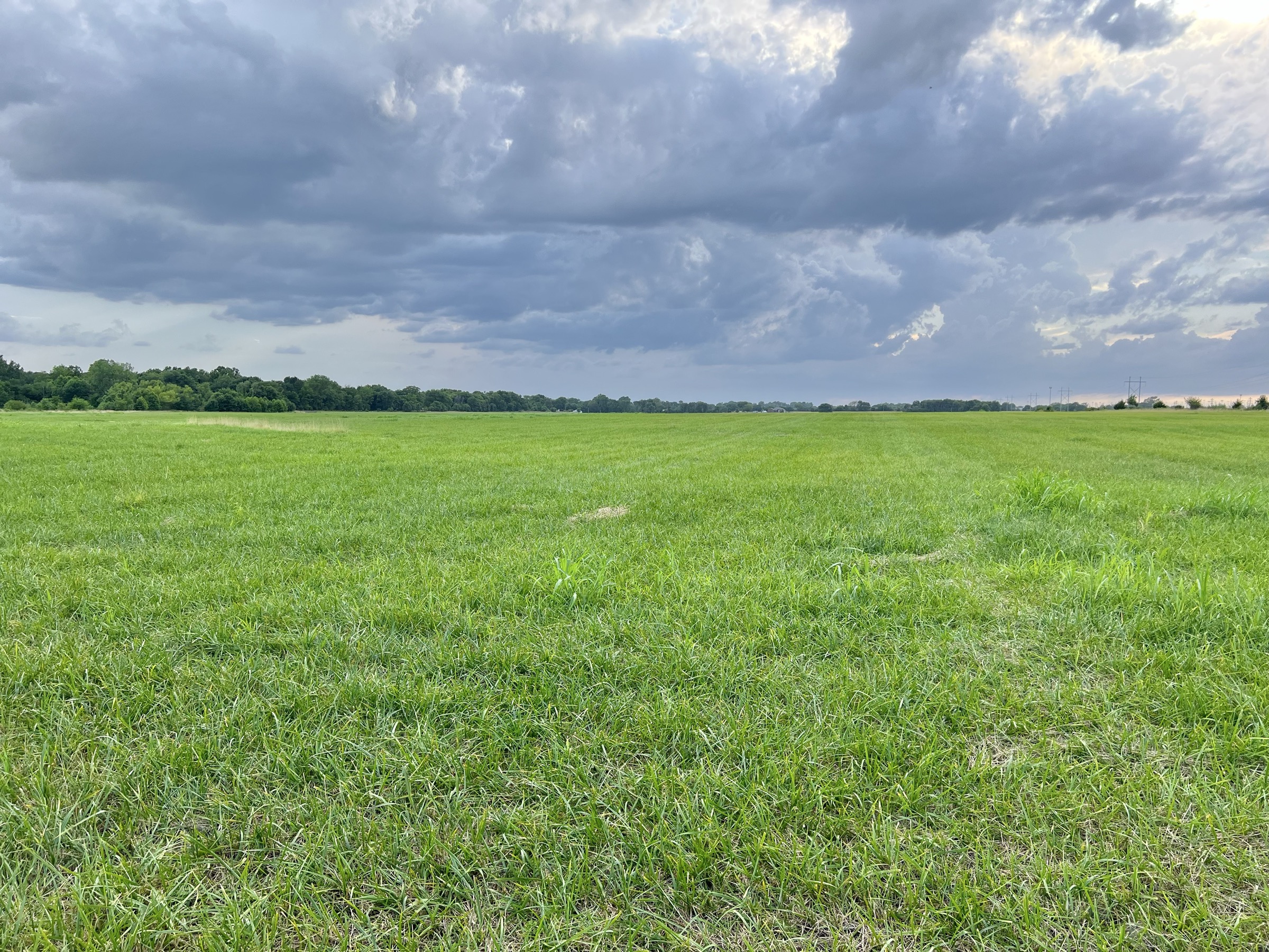 Tract 7 of 7: 70± acres - 