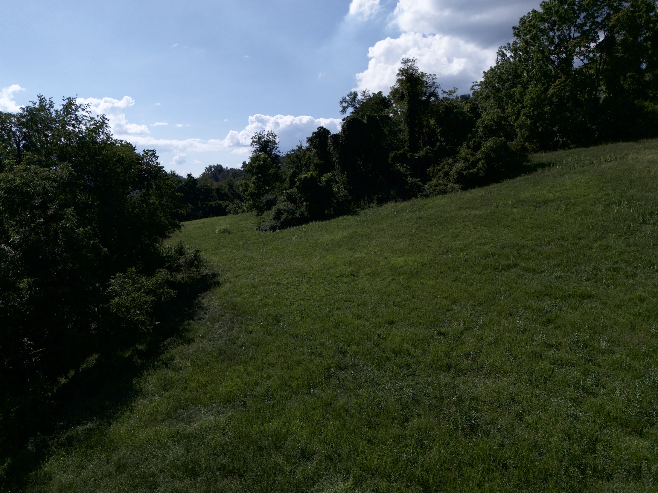Tract 4 of 5 - 