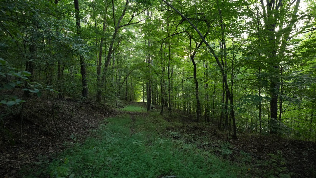 Tract 9 of 9 - 