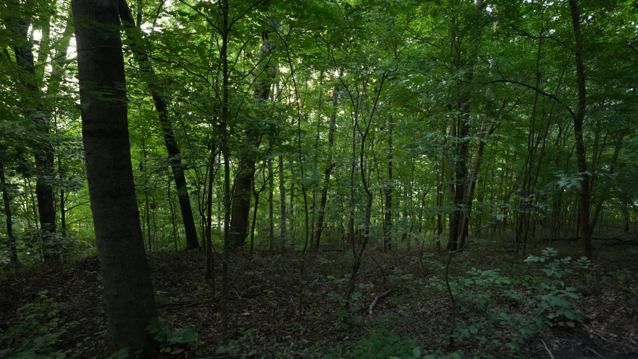 Tract 9 of 9 - 