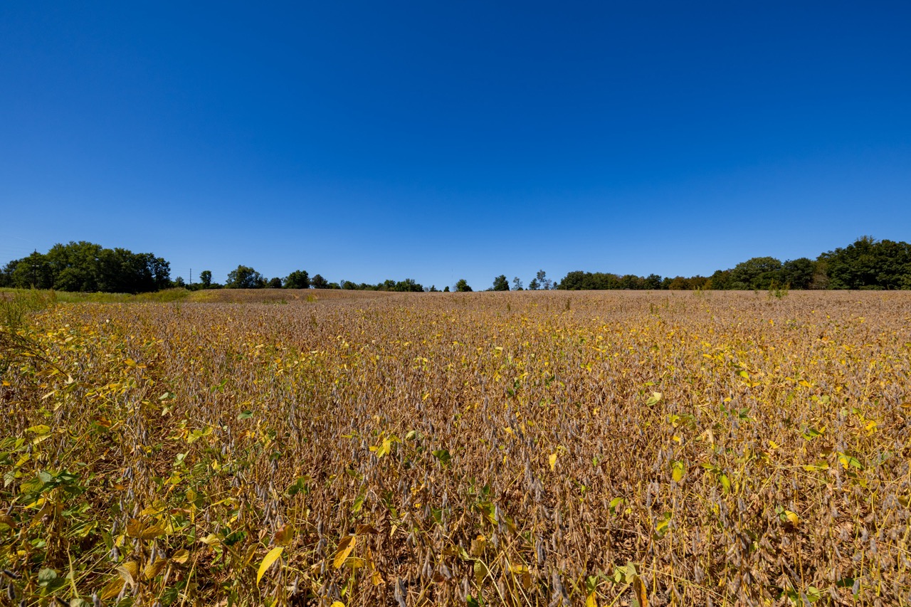 Tract 8 of 15 - 