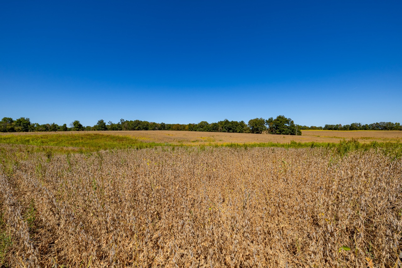 Tract 8 of 15 - 