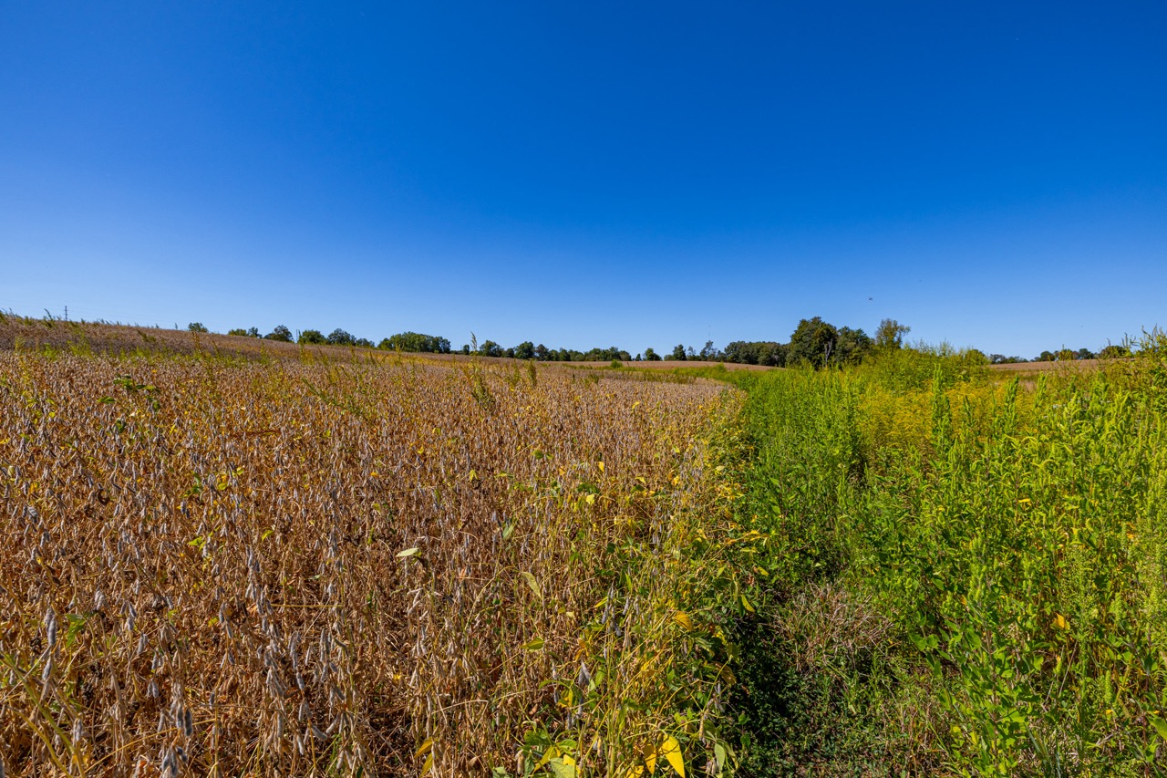 Tract 9 of 15 - 