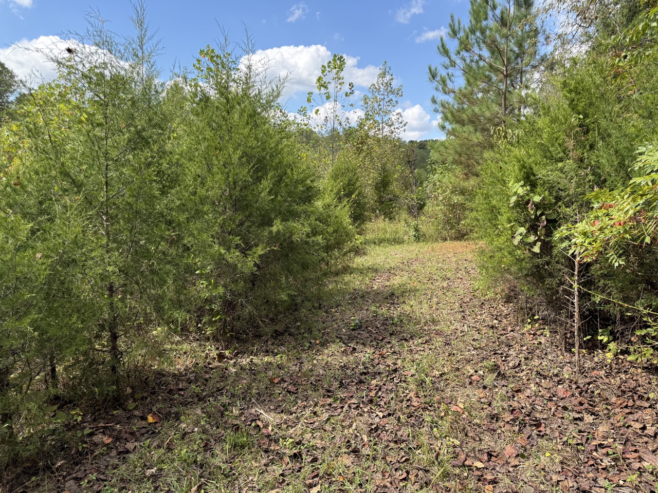 Tract 1 of 12 - 