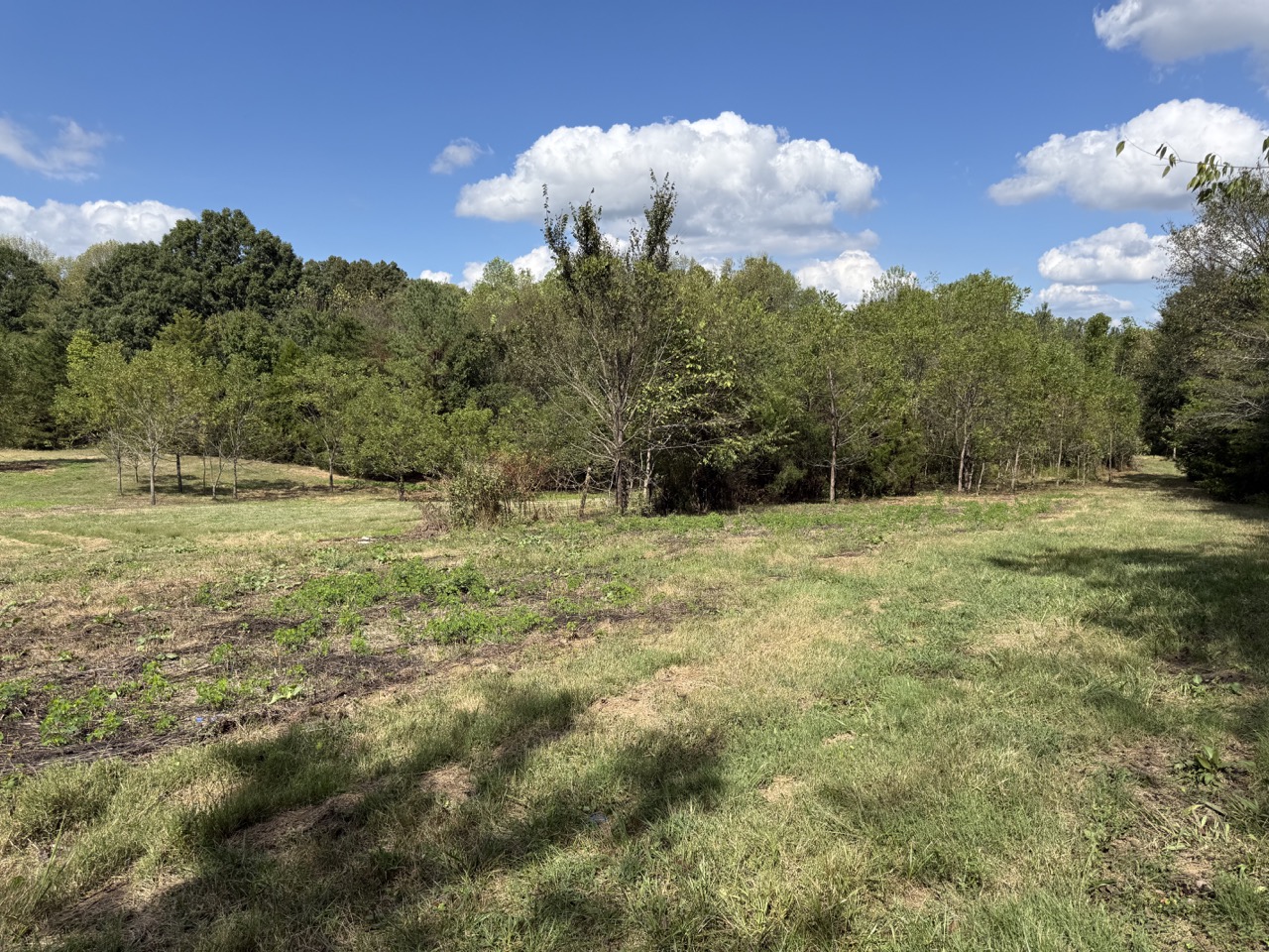 Tract 11 of 12 - 