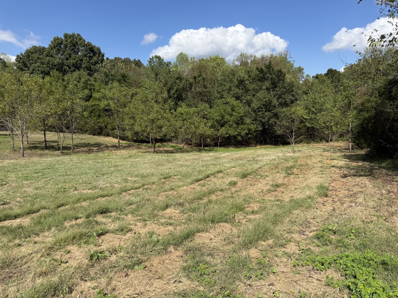 Tract 11 of 12 - 