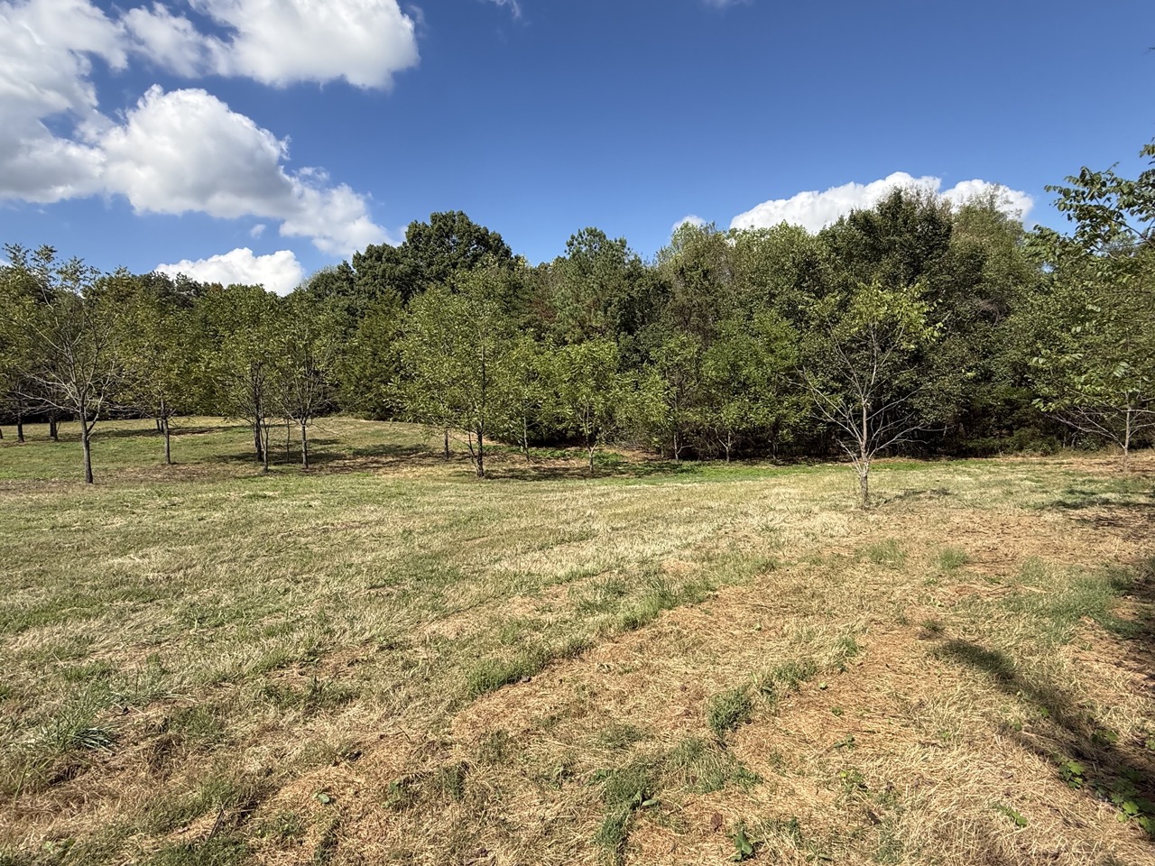 Tract 11 of 12 - 