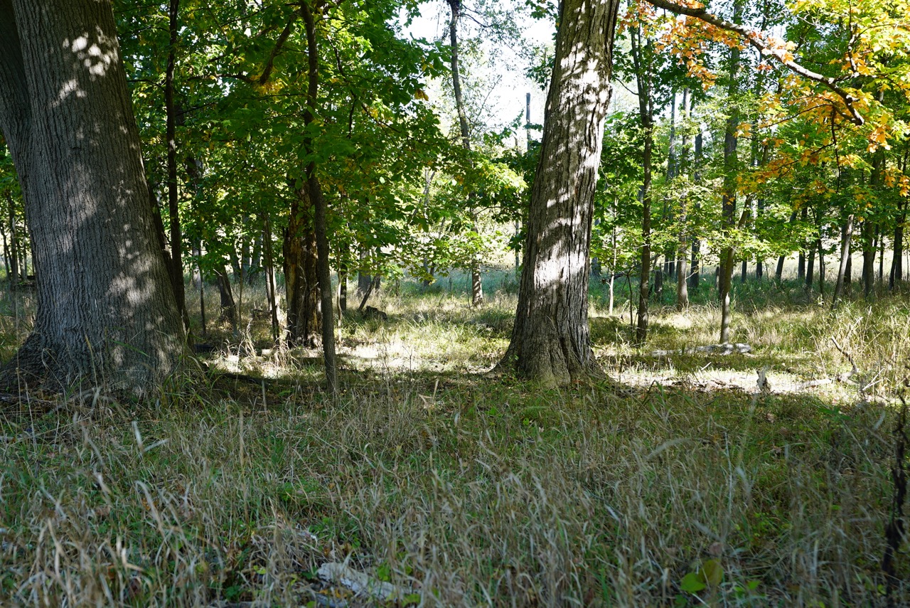 Tract 3 of 16 - Tracts 2-16