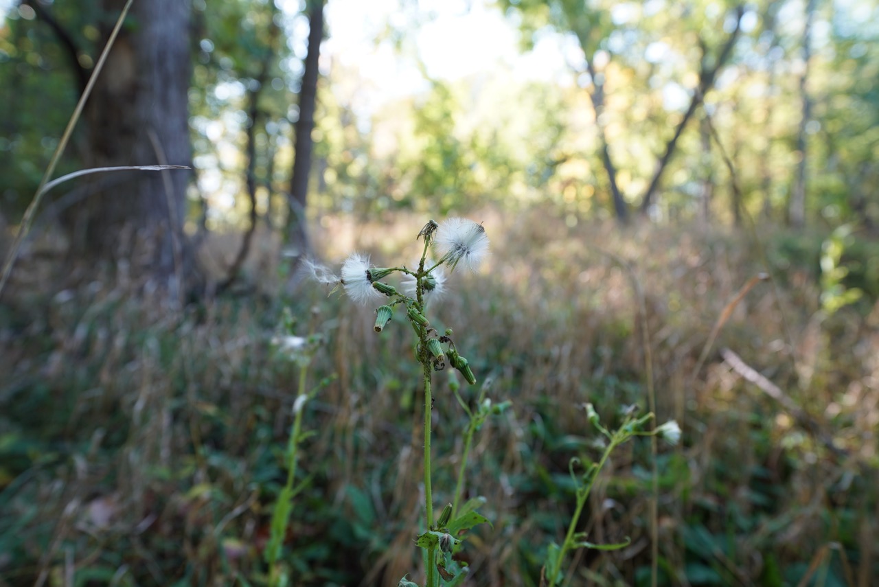 Tract 8 of 16 - Tracts 2-16