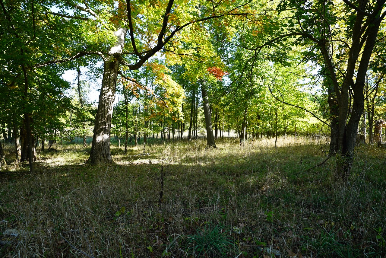 Tract 10 of 16 - Tracts 2-16