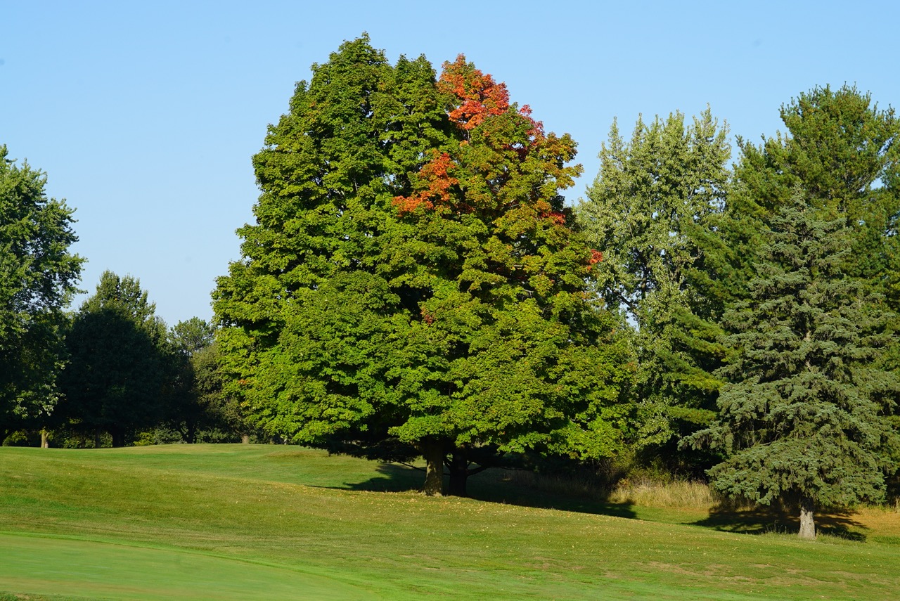 Tract 12 of 16 - Tracts 2-16