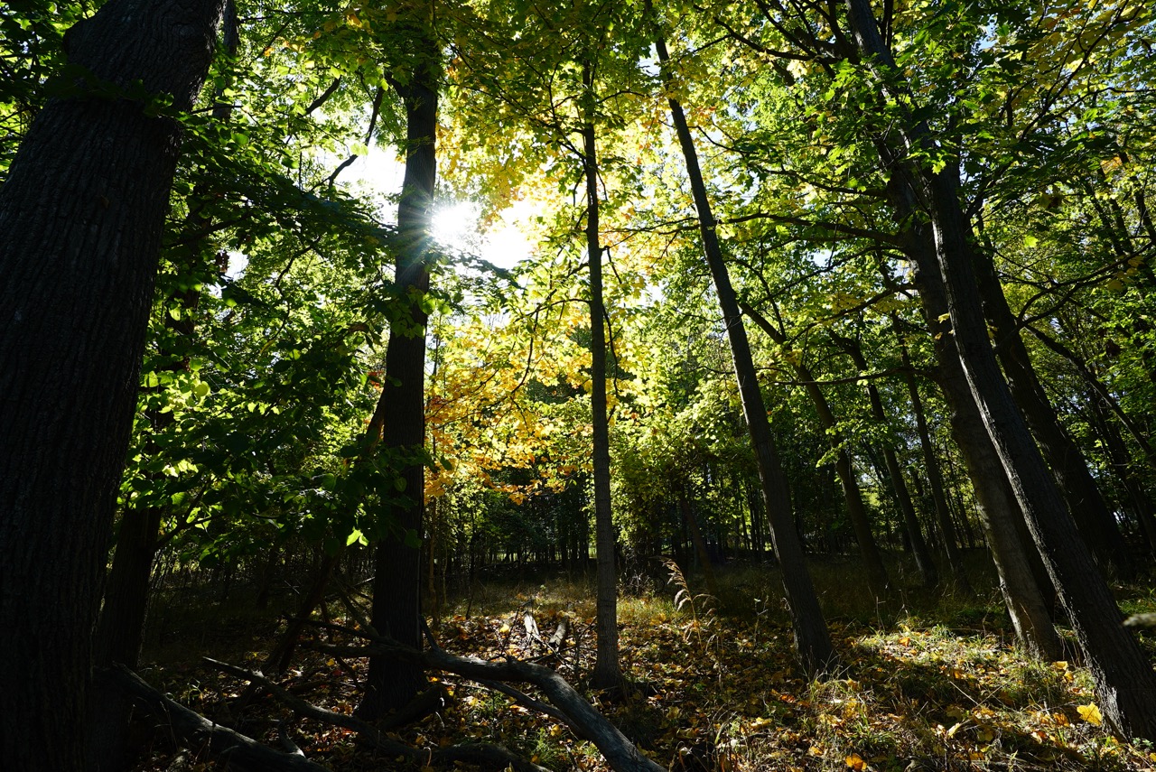 Tract 15 of 16 - Tracts 2-16